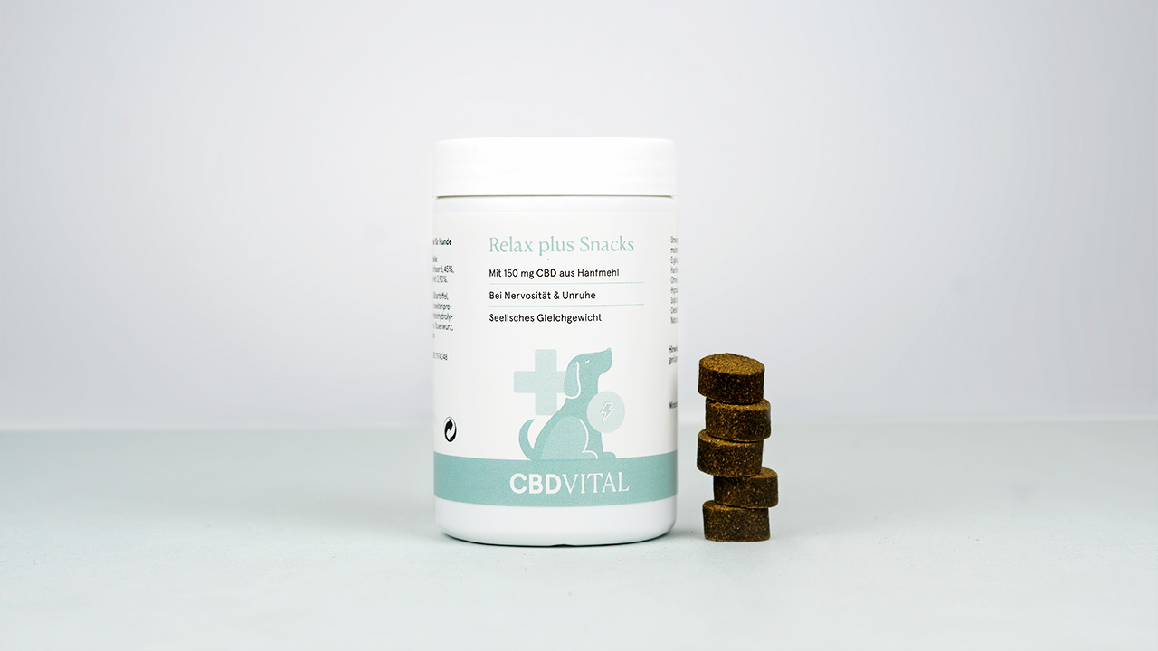 Friandises CBD pour chiens stressés