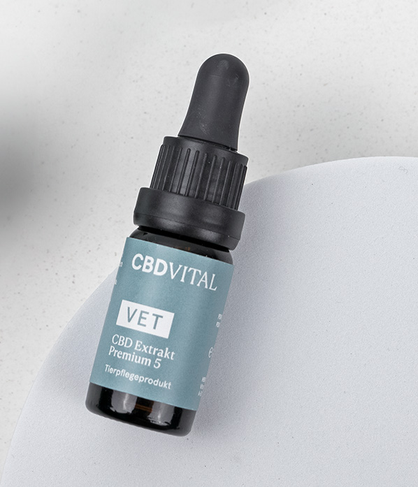 Huile de graines de chanvre BIO pressée à froid avec CBD