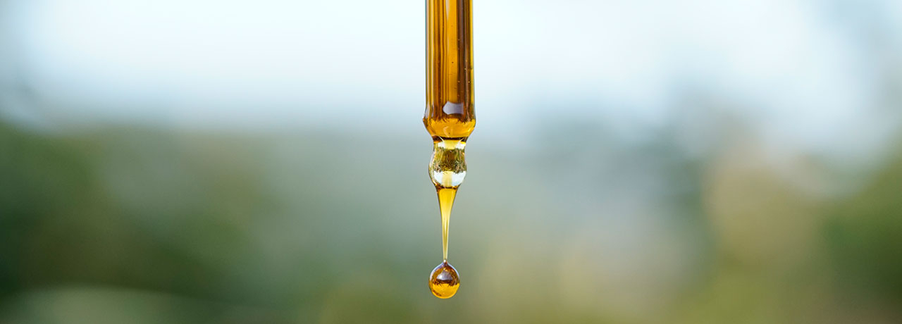 Les huiles CBD full-spectrum, une absorption idéale pour le corps