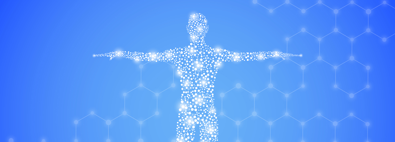 Le système endocannabinoïde et ses endocannabinoïdes