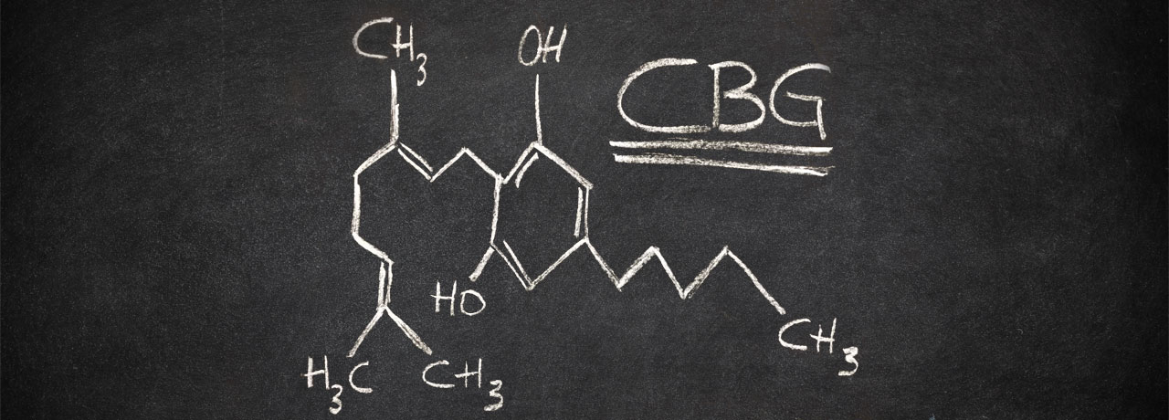 Qu'est ce que le CBG ? (cannabigérol)