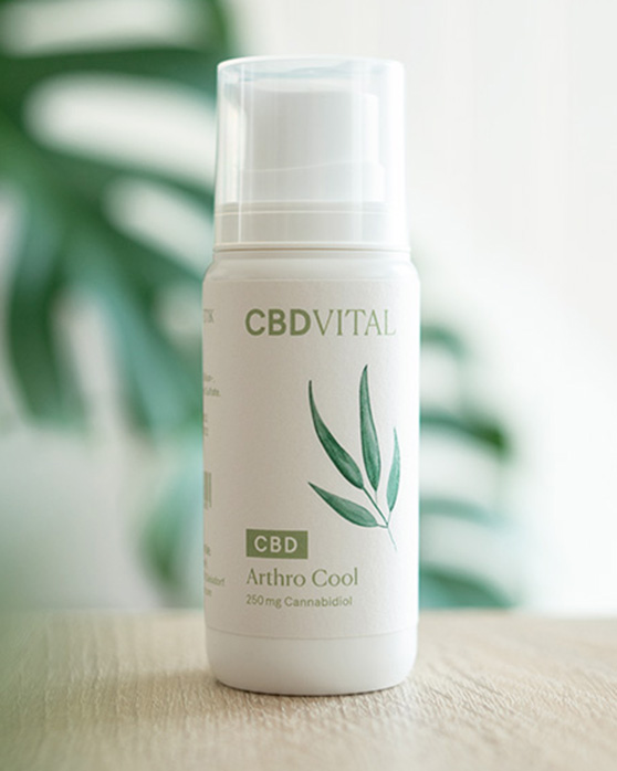 L'effet du CBD sur les muscles