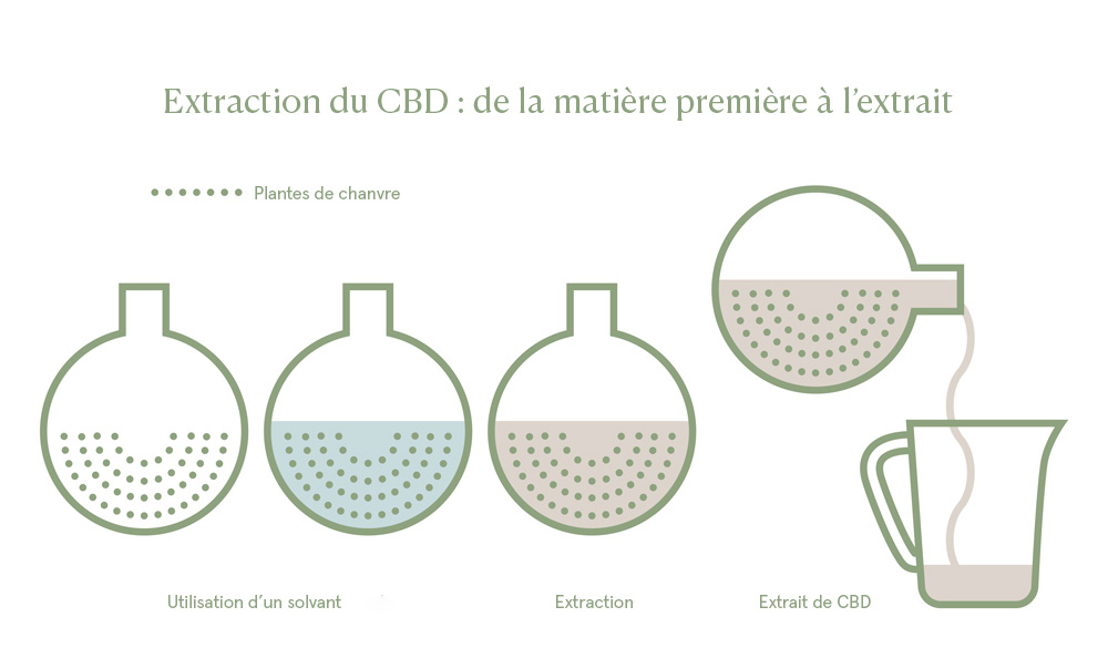 Extraction du CBD - de la matière première à l'extrait