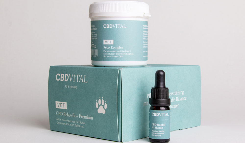 Les produits CBD VITAL pour votre chien